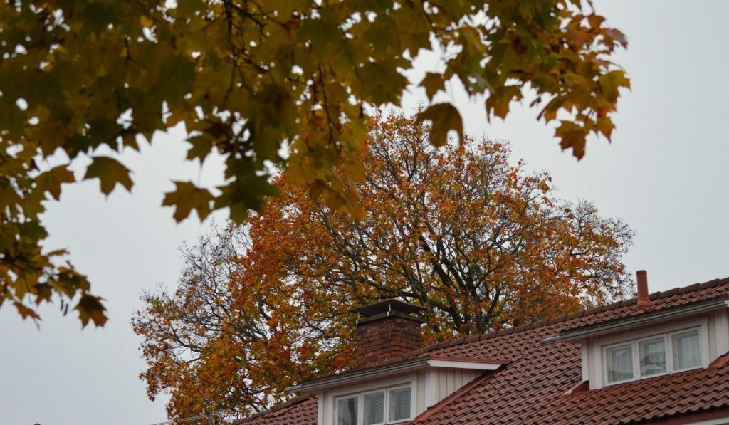 Savupiippu syksyisessä maisemassa