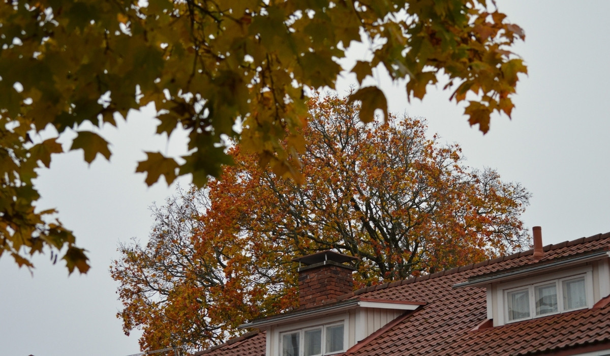 Savupiippu syksyisessä maisemassa.